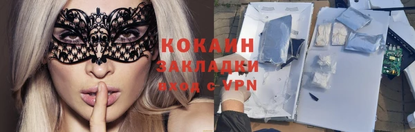 прущие грибы Пестово